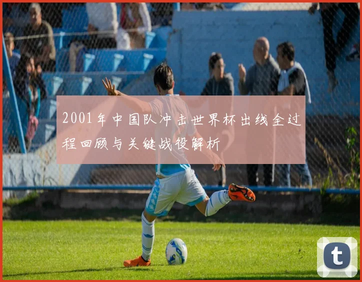 2001年中国队冲击世界杯出线全过程回顾与关键战役解析