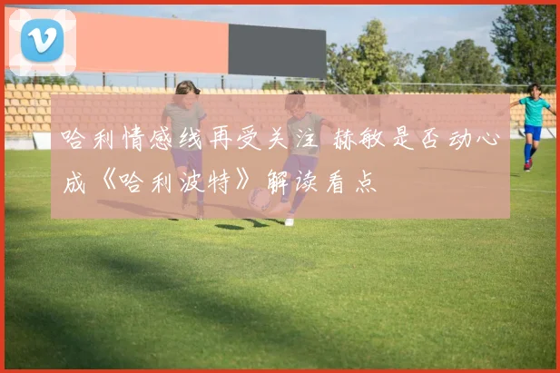 哈利情感线再受关注 赫敏是否动心成《哈利波特》解读看点