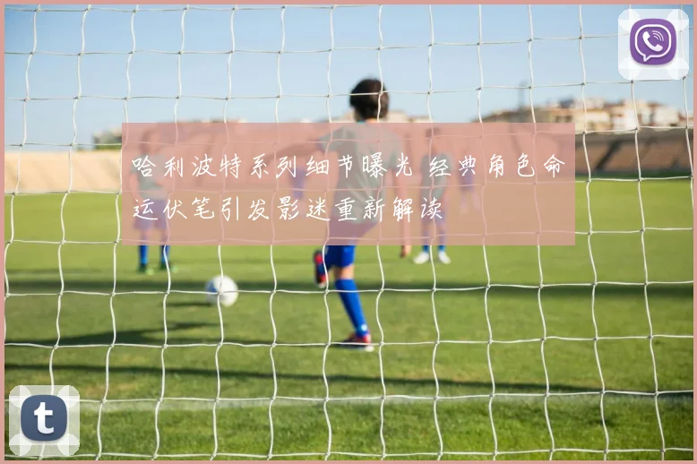 哈利波特系列细节曝光 经典角色命运伏笔引发影迷重新解读